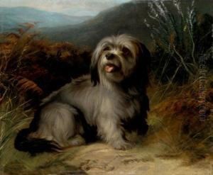A Terrier In A Landscape