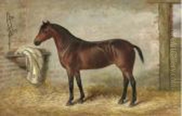 A Bay Hunter In A Stable - view 1