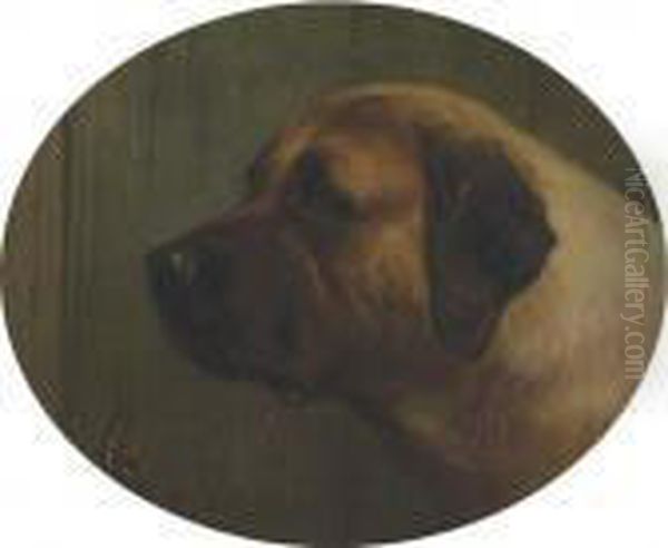 Head Of A Bull Mastiff - view 1