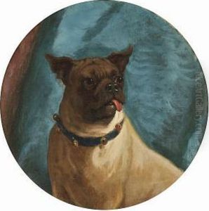 A Pug by George Earl