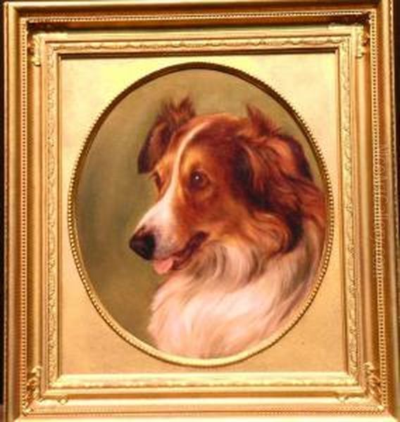 Portrait Of A Collie - view 1