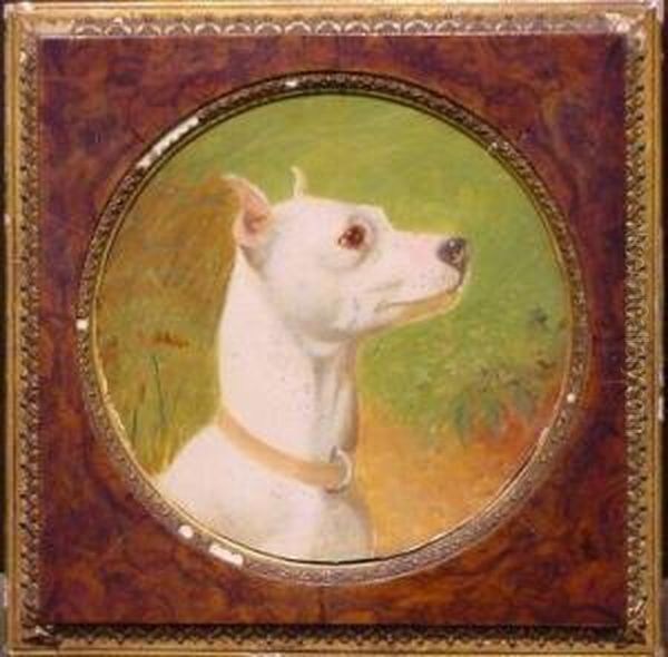 White English Terrier Head Study - view 1