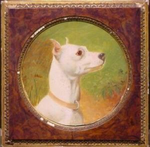 White English Terrier Head Study by George Earl