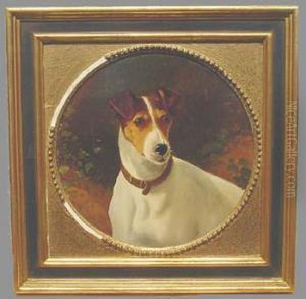 A Jack Russell Terrier - view 1