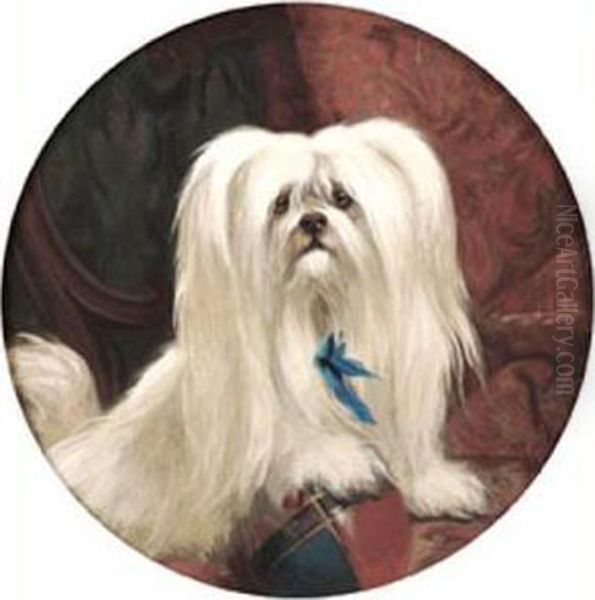 A Maltese Terrier Playing With A Ball - view 1