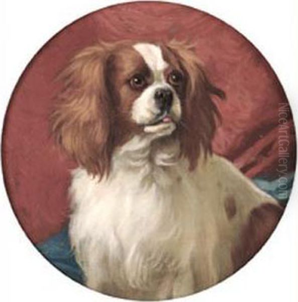 A Blenheim Cavalier King Charles Spaniel - view 1