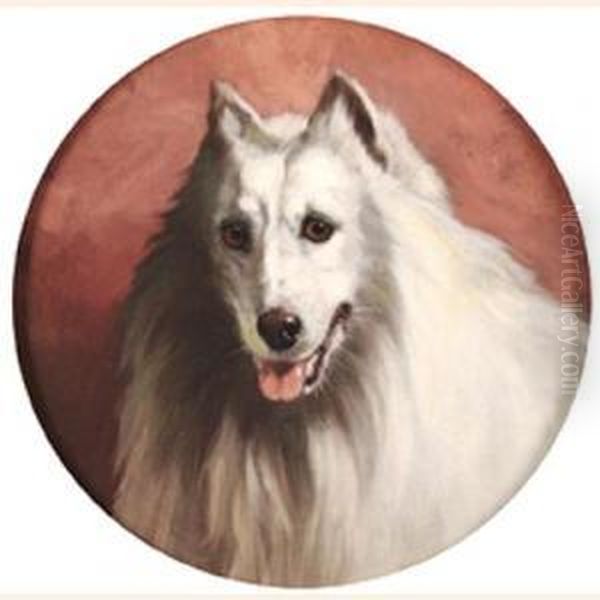 A White Dog, Possibly A Spitz - view 1