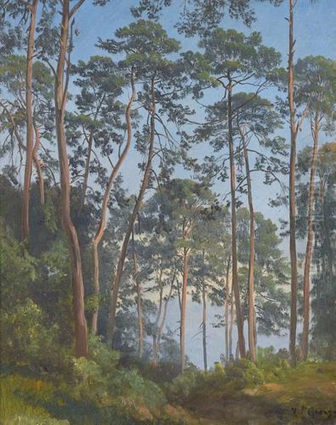 Lichte Waldpartie - view 1