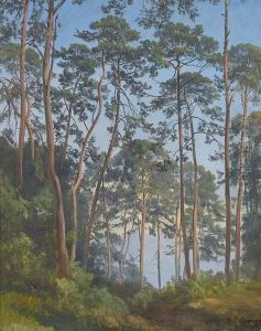 Lichte Waldpartie by Jean Philippe George-Juillard