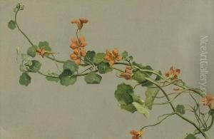 Kapuzinerkresse by Jean Philippe George-Juillard