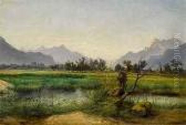 Landschaft Mitweiher Und Bergen - view 1