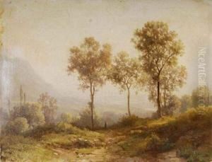 Paysage De Montagne