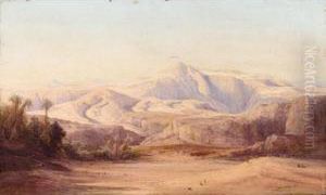 The Sinai Desert