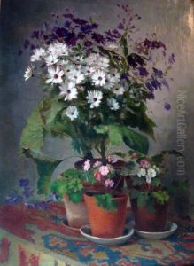 Les Pots D'aster Et Geraniums Les Pots D'aster Et Geraniums