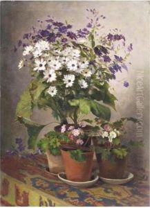 Pot De Marguerites