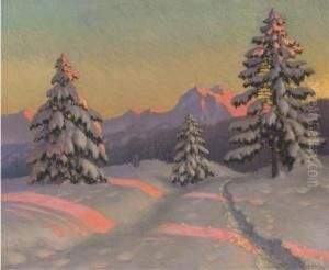 A Sunlit Track In The Snow