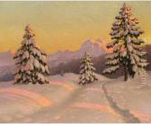 Winter Sun Winter Sun