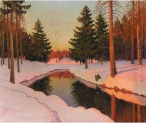 Winter Sunshine