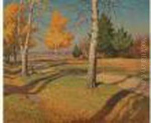 Les Bouleaux A L'automne