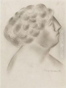 Study Of A Head Study Of A Head