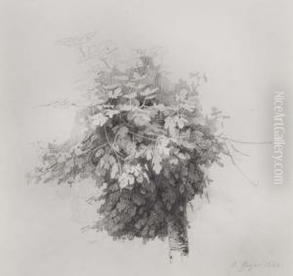 Weinstock - view 1