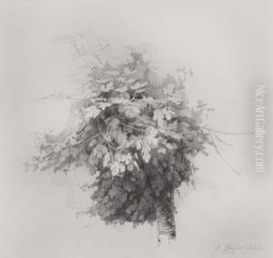 Weinstock by Geyer, Alexius