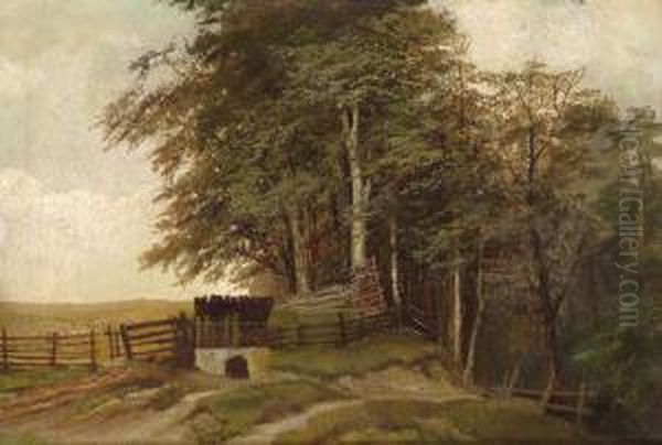 Erdoszelen - view 1