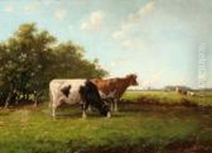 Cows In A Meadow Cows In A Meadow
