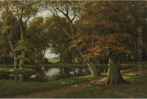 Ducks On A Pond In A Wooded Landscape - view 1