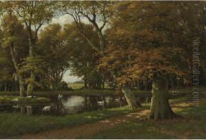 Ducks On A Pond In A Wooded Landscape by Adriaan Marinus Geijp
