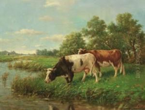 Cows In A Meadow Cows In A Meadow