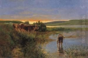 Mandria Al Fiume Mandria Al Fiume