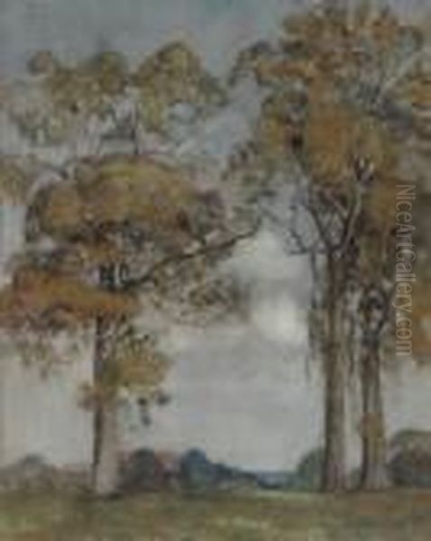 The Friendly Gums - view 1