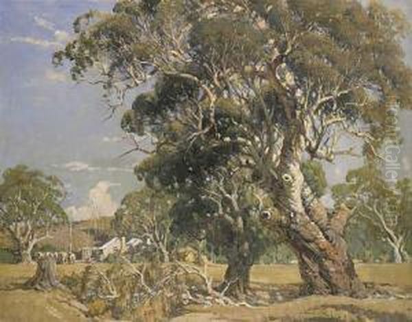 Australian Pastoral - view 1