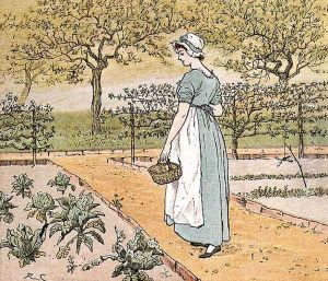 Mrs. Mary Blaize- 'She went into the garden to cut a cabbage leaf to make an apple pie' Mrs. Mary Blaize- 'She went into the garden to cut a cabbage leaf to make an apple pie'
