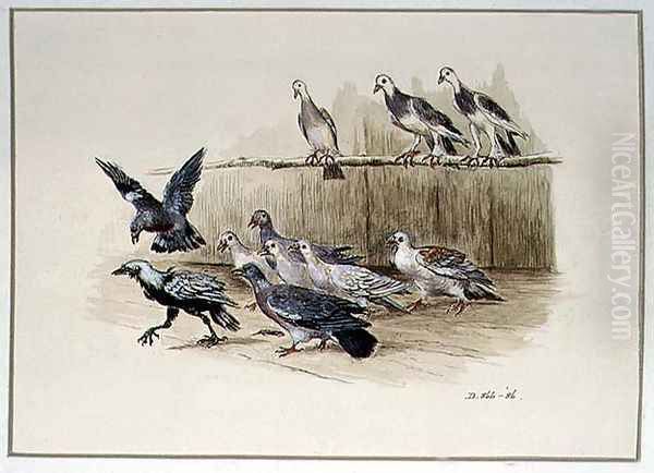 The Jackdaw and the Doves - view 1