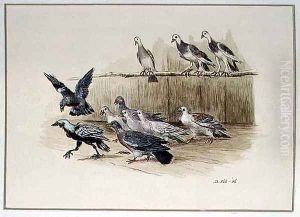 The Jackdaw and the Doves by Randolph Caldecott