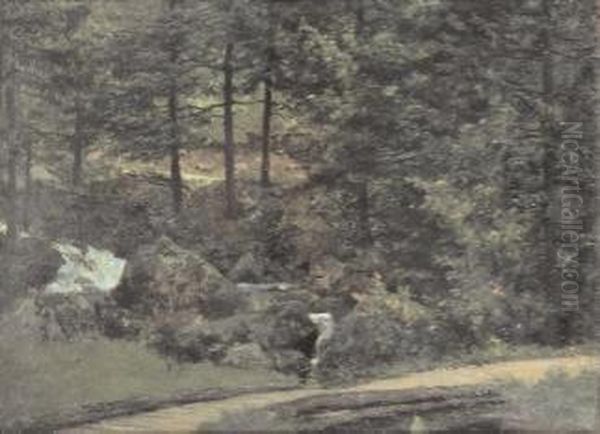 Bosco - view 1