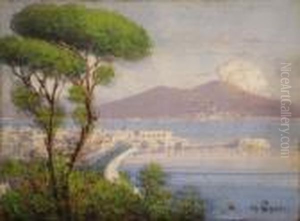 Topographical View Of The Bay Of Naples With Smoking Vesuvius To Distance - view 1