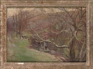 Trees By The Brook