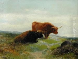 Studies Ofhighland Cattle by Thomas Henry Gibb