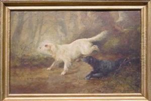 Setters In A Forest Setters In A Forest