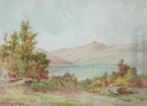 Near Head Of Lake Wakatipu Near Head Of Lake Wakatipu