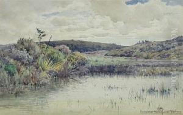 Estuary, Canterbury - view 1