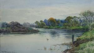 Styx River, South Island by William Menzies Gibb