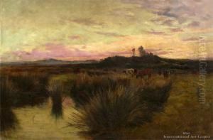 Fading Light, Canterbury