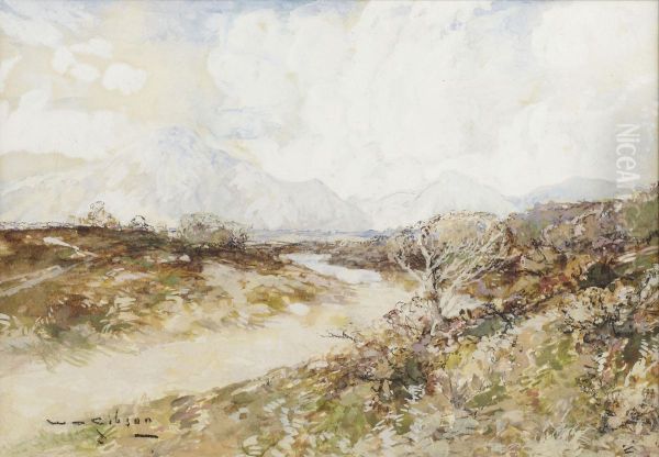 A Moorland Path - view 1