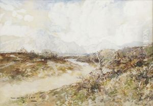 A Moorland Path