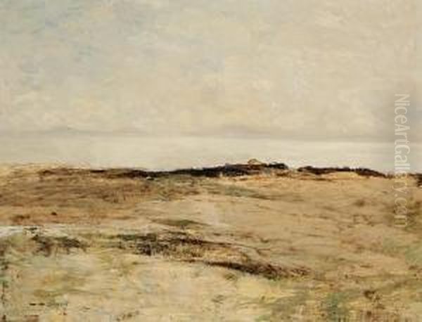 Coastal Landscape - view 1