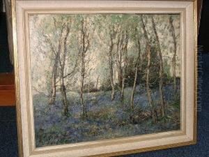 Bluebell Wood
